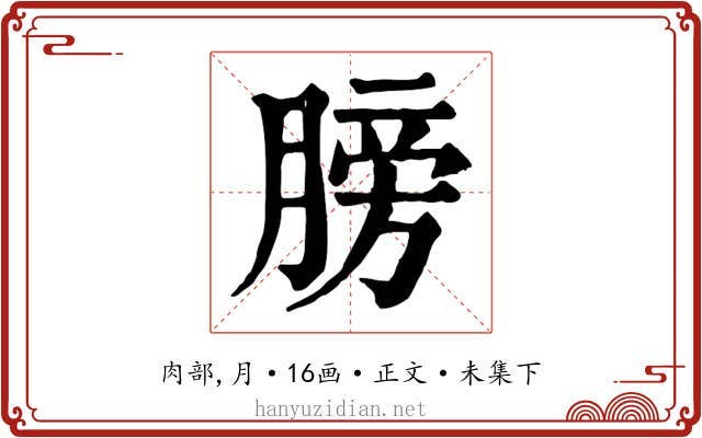 膀