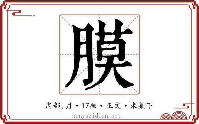 膜