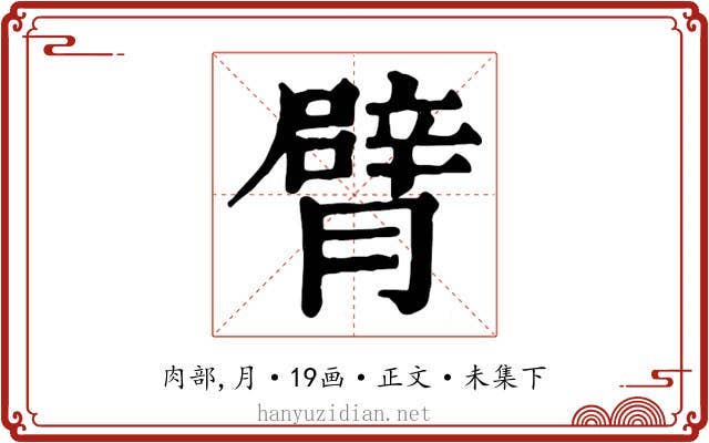臂