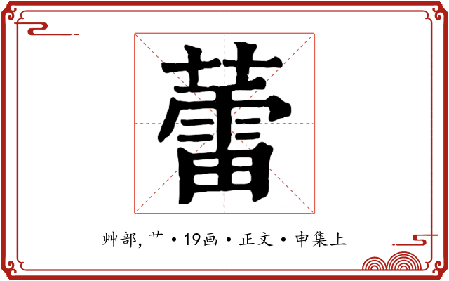 蕾