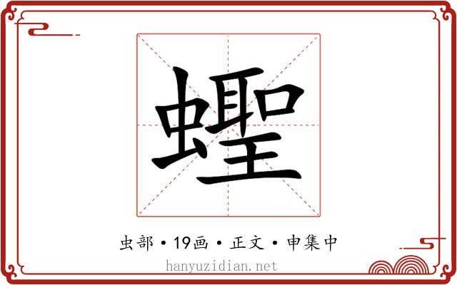 蟶