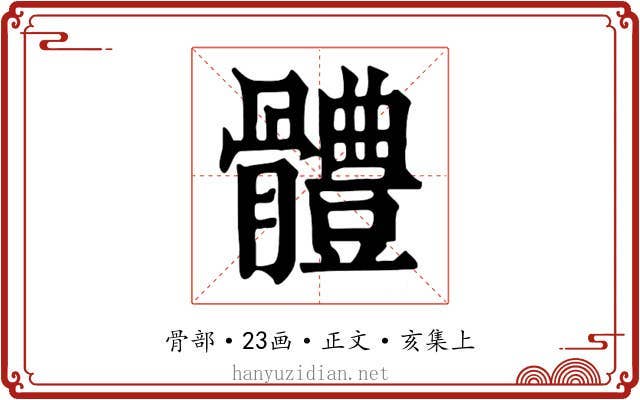 體