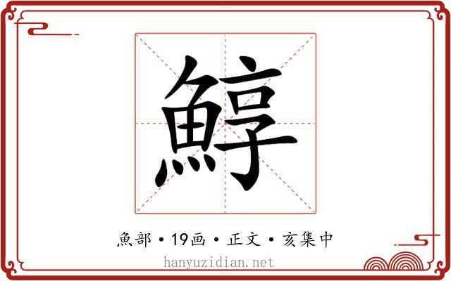 鯙