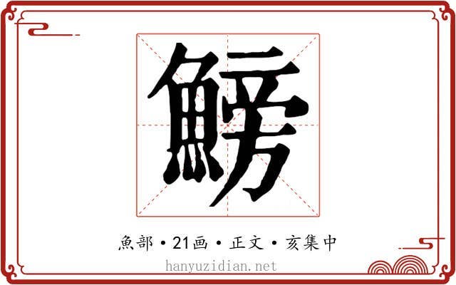 鰟