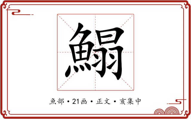 鰨