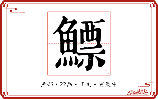 鰾