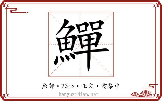 鱓
