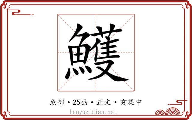 鱯
