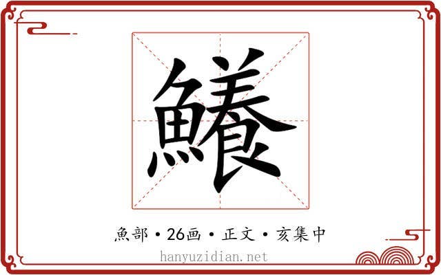 鱶