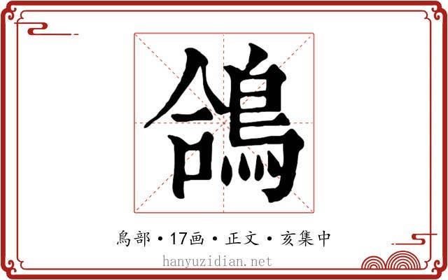 鴿