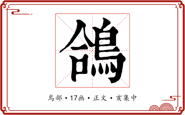 鴿