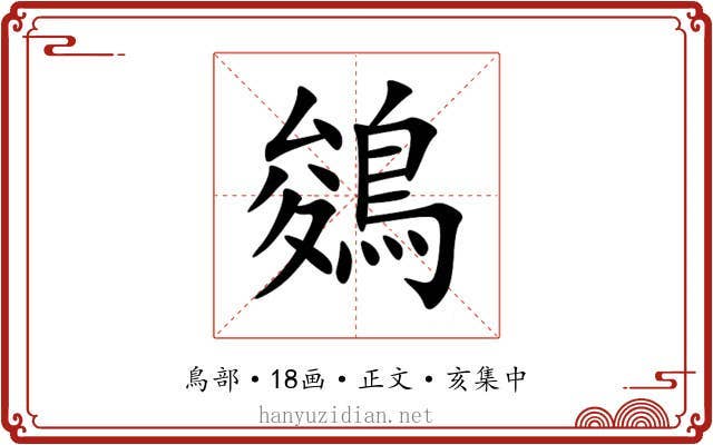 鵕