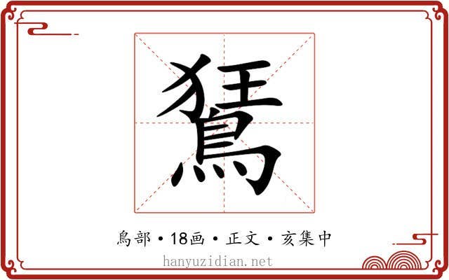 鵟