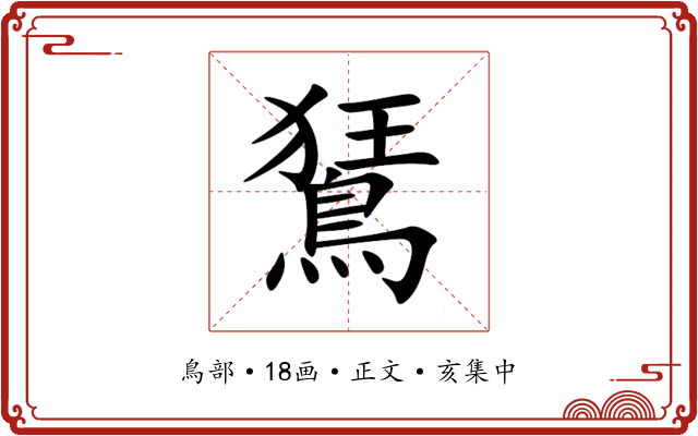 鵟