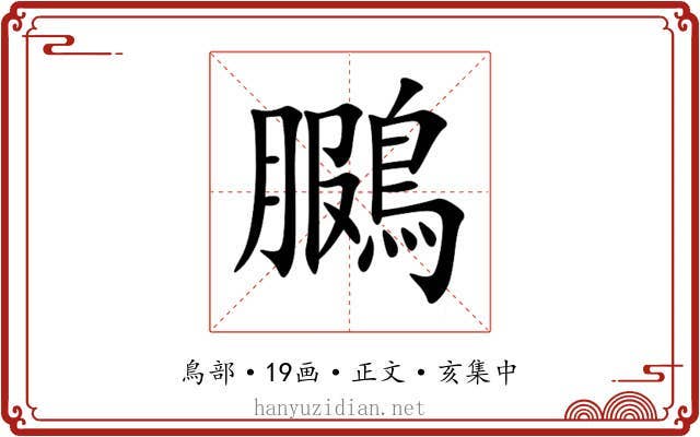 鵩