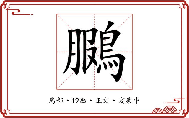 鵩