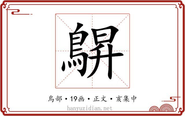 鵿