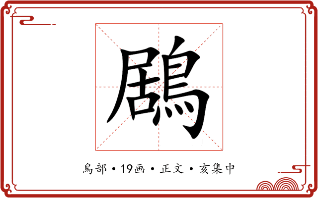 鶋