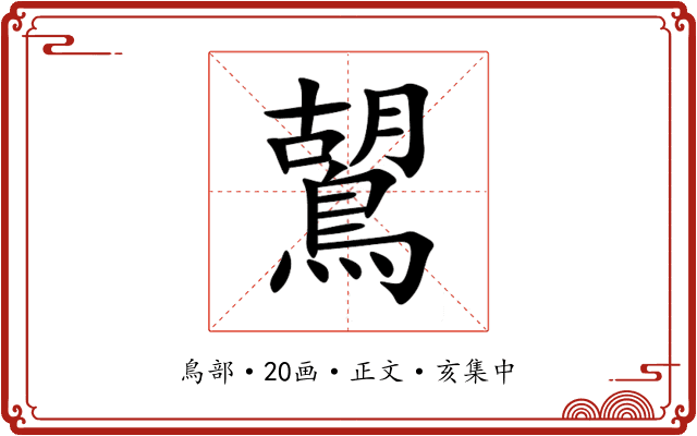 鶦