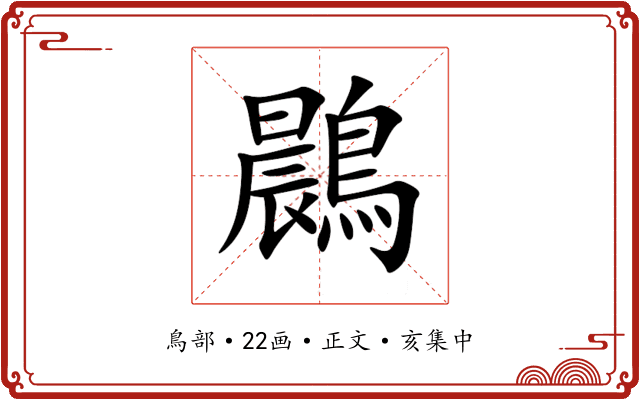 鷐