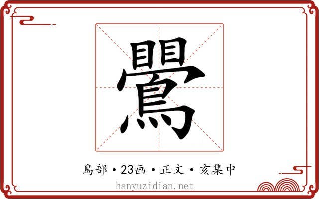 鷪