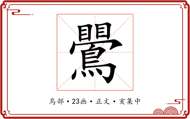 鷪