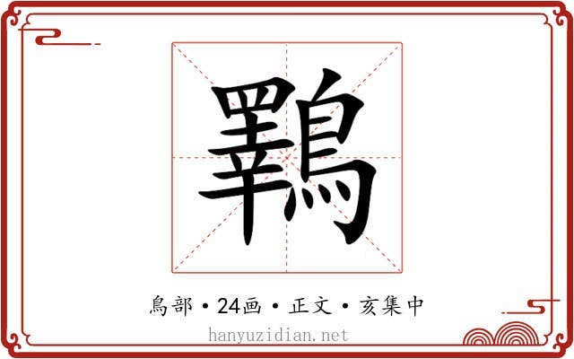 鸅