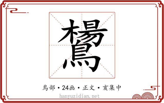 鸉