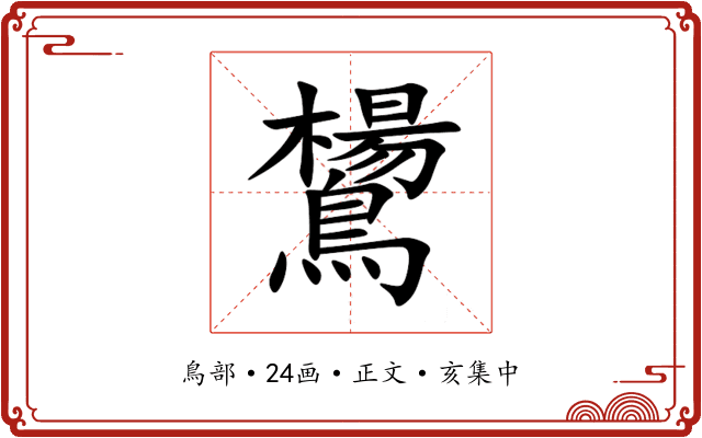 鸉