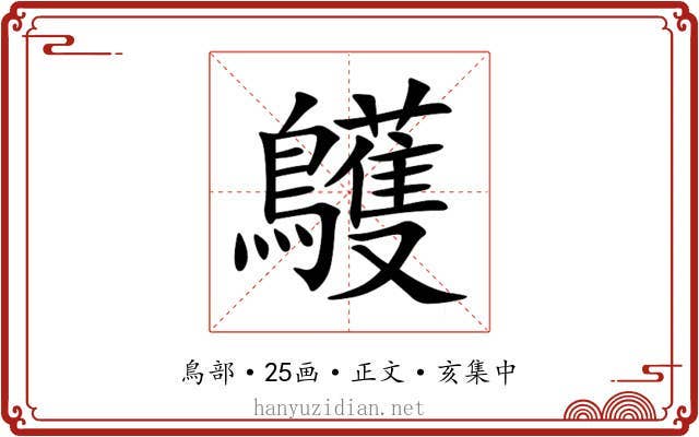 鸌