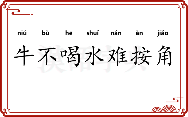 牛不喝水难按角