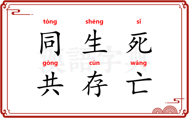 同生死，共存亡