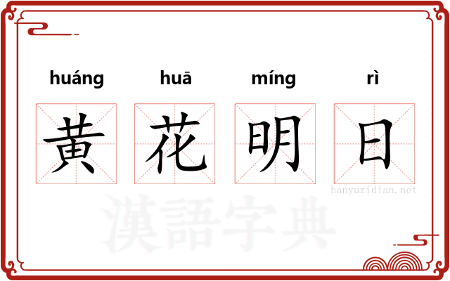 黄花明日