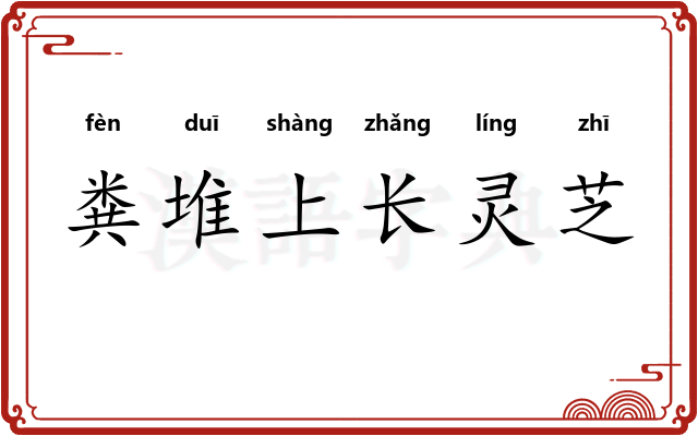 粪堆上长灵芝
