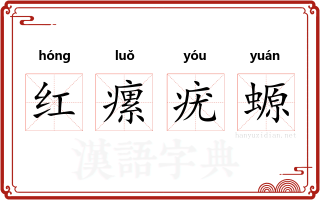 红瘰疣螈 红瘰疣螈