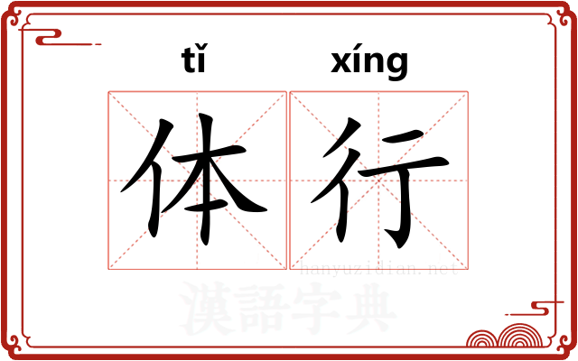 体行
