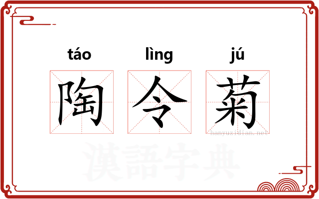 陶令菊 陶令菊