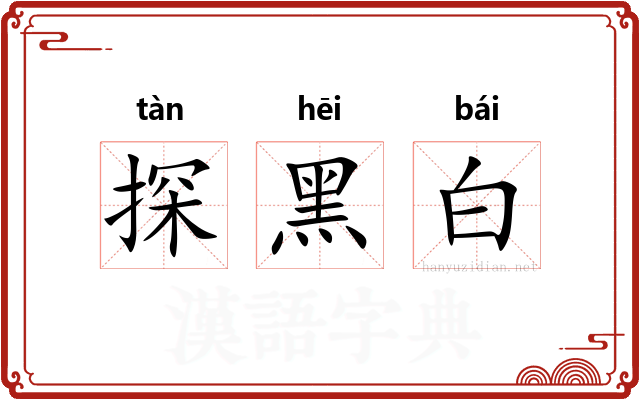 探黑白