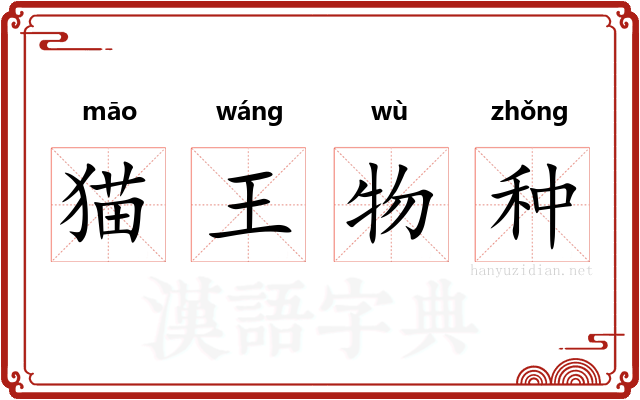 猫王物种