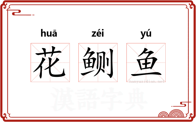 花鲗鱼