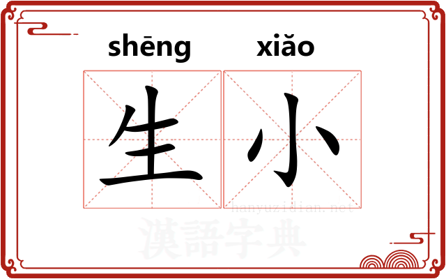 生小
