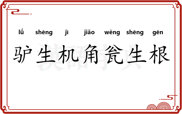 驴生机角瓮生根