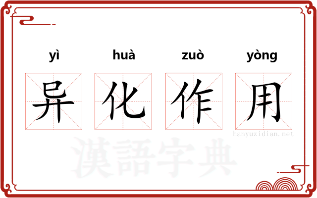 异化作用 异化作用