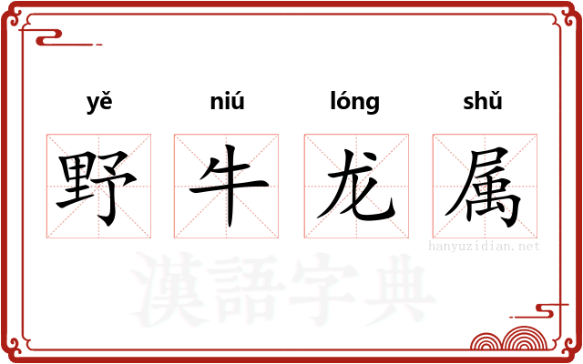 野牛龙属 野牛龙属
