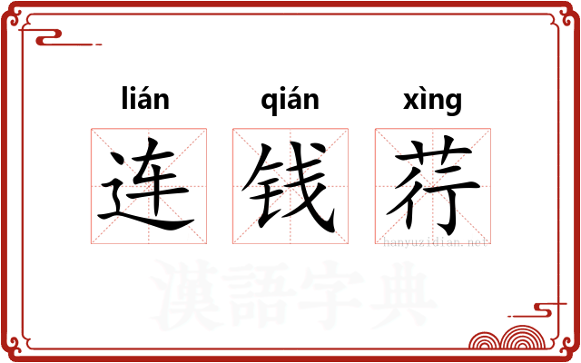 连钱荇