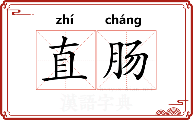 直肠