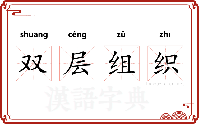 双层组织