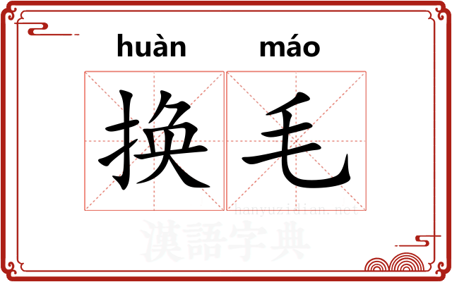 换毛