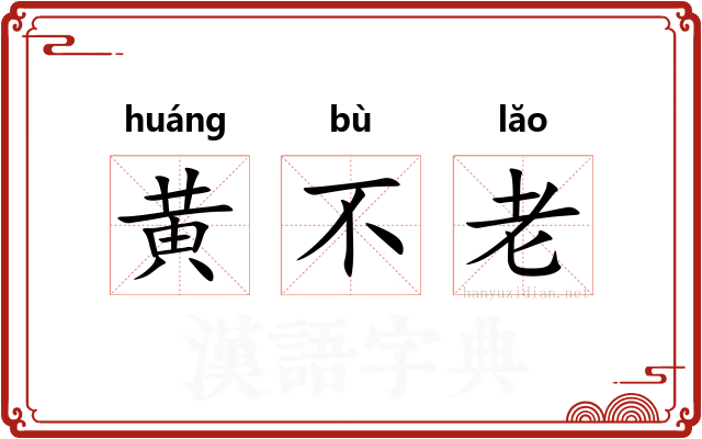 黄不老