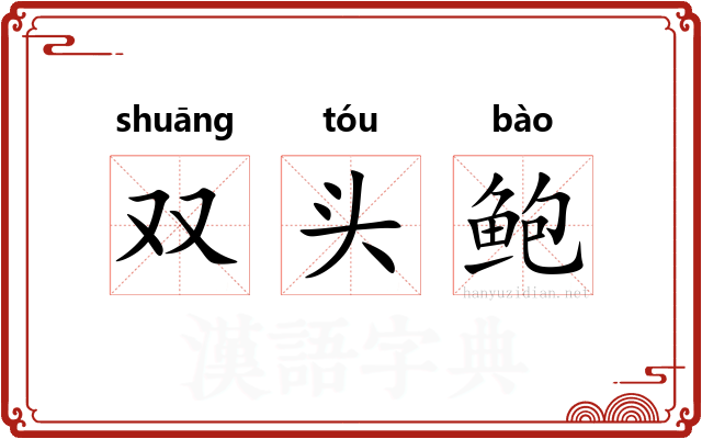 双头鲍